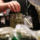 Illustration for article titled How To Get A Medical Marijuana Card